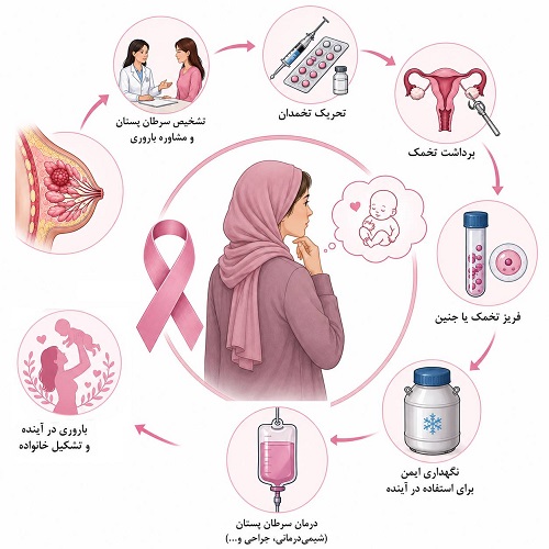 حفظ باروری